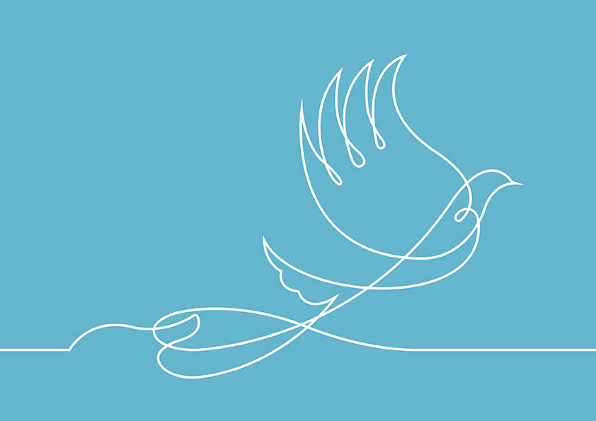 Dove illustration by Darren Whittington